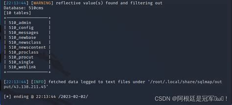 Sqlmap Tutorial Basics 的图像结果