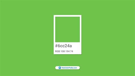 Image result for AP Computer Science Principles Exam App Refrence