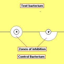 Image result for Well Diffusion Method