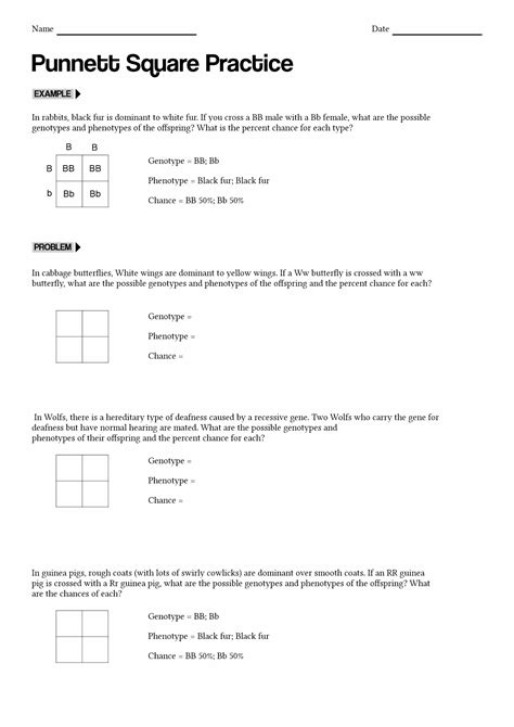 Punnett Square Worksheet And Answer Key