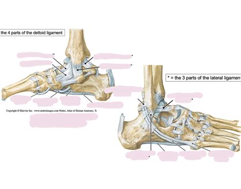 Hip Hop Dance Tutorial 的图像结果