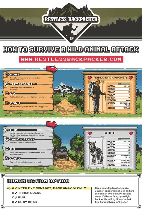 How to Survive a Wolf Attack | All You Need to Know