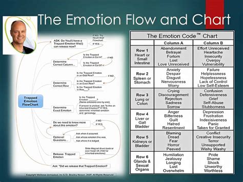 Emotion Code Demonstration 的图像结果