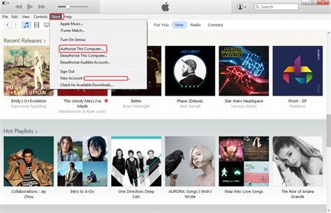 Authorize Computer 的图像结果