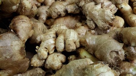 Download Dry Ginger Root Vegetables Pile Wallpaper | Wallpapers.com