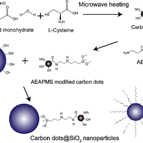SiO2 Particles 的图像结果
