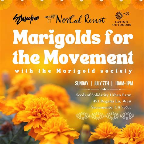 Marigolds For The Movement w/the Marigold Society , Seeds of Solidarity ...
