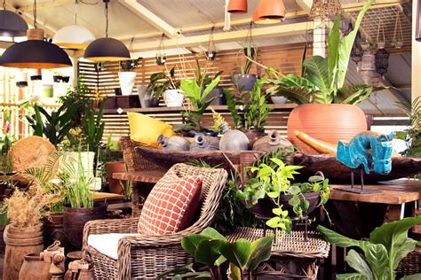 THE PURPLE TURTLES (2026) All You Need to Know BEFORE You Go (with ...