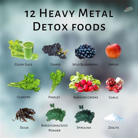 How To Detox Heavy Metals