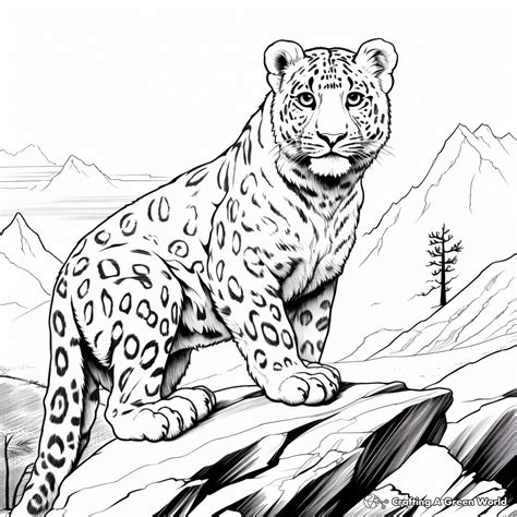 Snow Leopard Coloring Pages - Free & Printable!