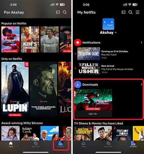 Image result for Netflix Download Tips