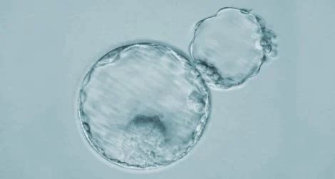 Image result for Masking Region. Add Hatching