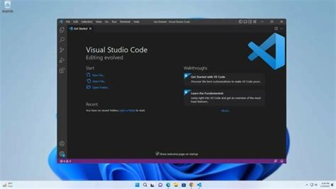 Image result for vs Code Setup Windows 11