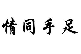 小老虎小狮子,家里,vs_文秘苑图库