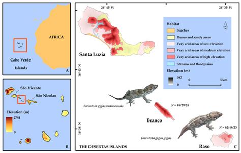 What Is the Giant Wall Gecko Having for Dinner? Conservation Genetics ...