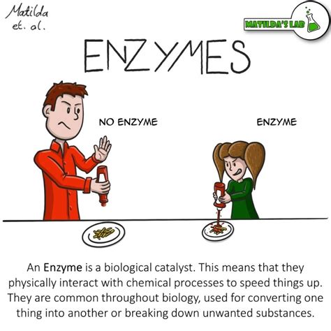 Matilda's Lab (@matildaslab@mstdn.social) - Mastodon 🐘