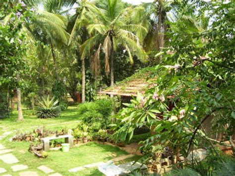 The Martin Farm, bengaluru, India - Top Attractions, Things to Do ...