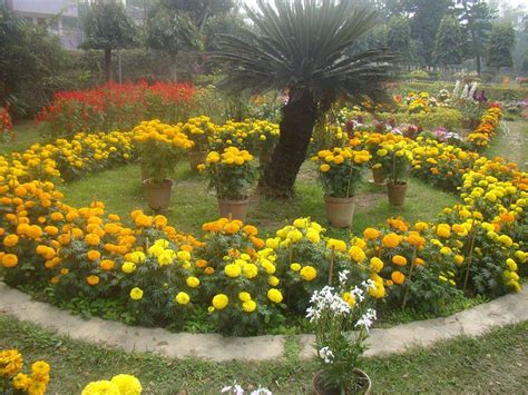 Netaji Subhas Chandra Bose Telecom Training Institute - a BSNL Calcutta ...