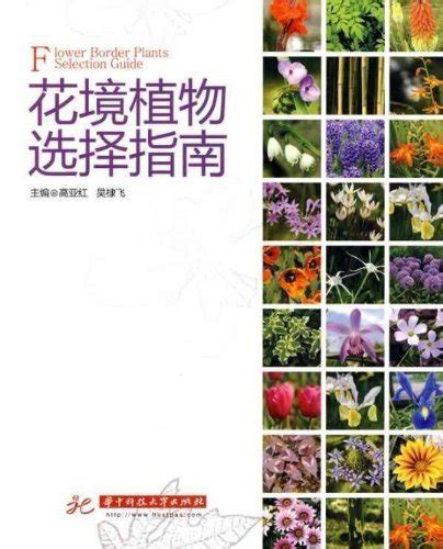 Guide to Select Flower Border Plants : Gao Ya HongWu Di Fei: Amazon.in ...