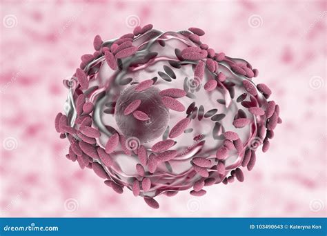 Bacterial Vaginosis Clue Cells Bacterial Vaginosis