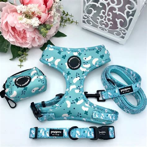 Cute Dog Harness and Leash Set