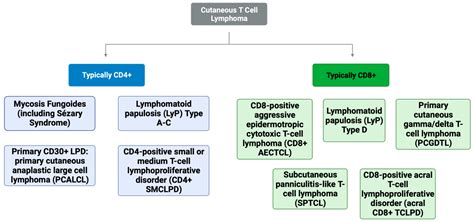 Clinical and Histologic Variants of CD8+ Cutaneous T-Cell Lymphomas