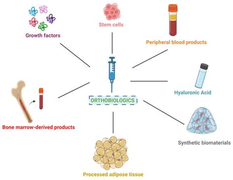 Orthobiologics Revisited: A Concise Perspective on Regenerative Orthopedics