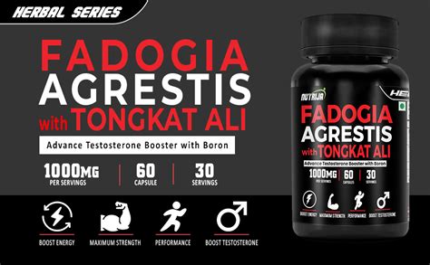 NutriJa Fadogia Agrestis 1000mg with Eurycoma Longifolia Extract 400mg ...