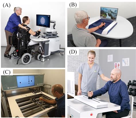 Image result for Dynamic Equilibrium Device Human