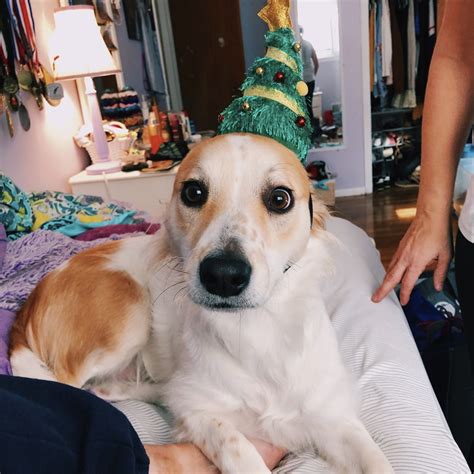 Stream run it back turbo by megoc12 | Listen online for free on SoundCloud