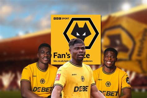 Image result for Wolves Survival