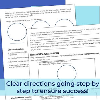 Microscope Lab Activity 的图像结果