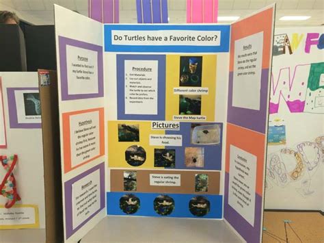 Image result for Tricky Science Fair Projects with Changing Variables