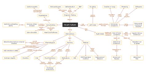 Concept Map Biology 的图像结果