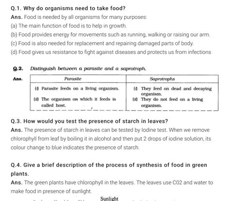 Image result for Class 7th Science Chapter 14 Solution