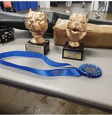 Bullys Garage american bullies the bully garage Bullys Garage american bullies the bully garage