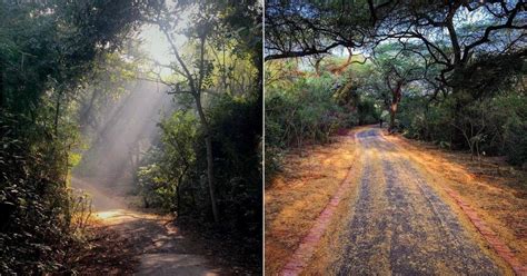 Jahapanah City Forest South Delhi | WhatsHot Delhi Ncr