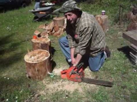 Logging Tree Fails Compilation 的图像结果