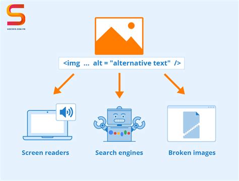 SEO and the Importance of Alt Text | Image SEO Content