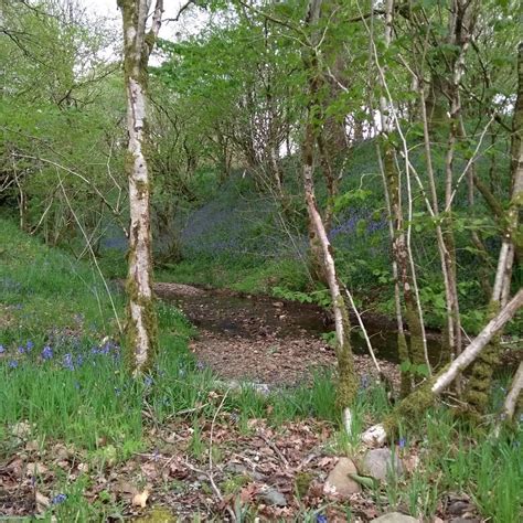 THE CABINS, LOCH AWE (Dalavich) - Campground Reviews, Photos, Rate ...