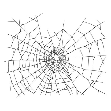 Image result for Realistic Spider Web