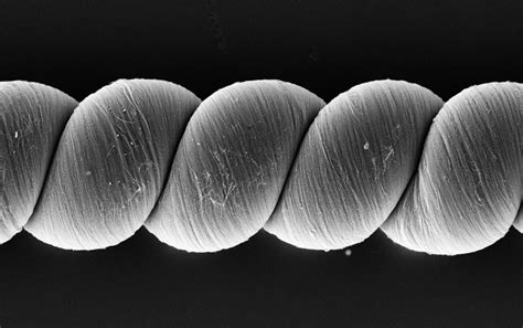 Image result for How to Build Artificial Muscles Move