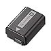 Buy Sony NP-FW50 Rechargeable Battery Pack Online at Low Prices in ...