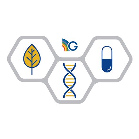 Image result for Python Guna String