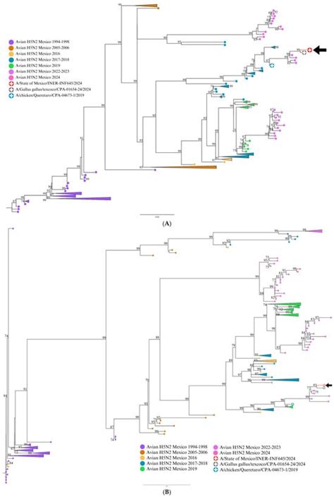 Mexico’s Laboratory-Confirmed Human Case of Infection with the ...