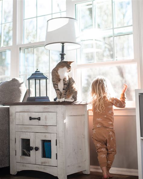 Reviews - Universal Windows Direct