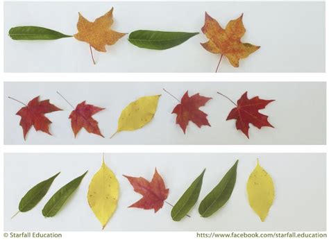 Image result for Starfall Math Tree