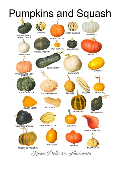 Types of pumpkins – Artofit
