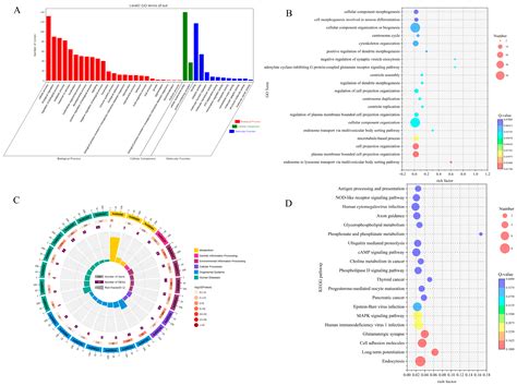 Selection and Regulatory Network Analysis of Differential CircRNAs in ...