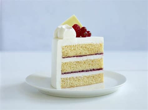 Tegral Sponge Egg free Plus - Puratos